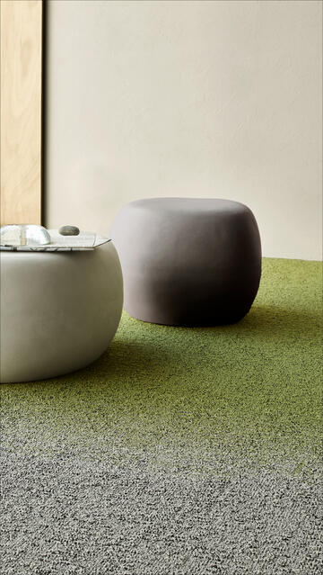Transform Your Space with Nature-Inspired Color Transitions